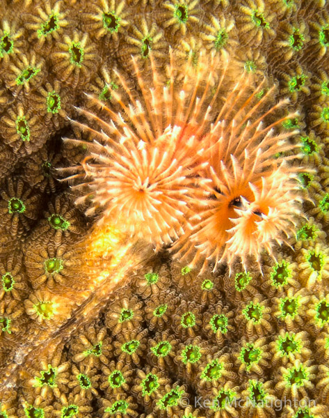 1/100 sec at f / 13